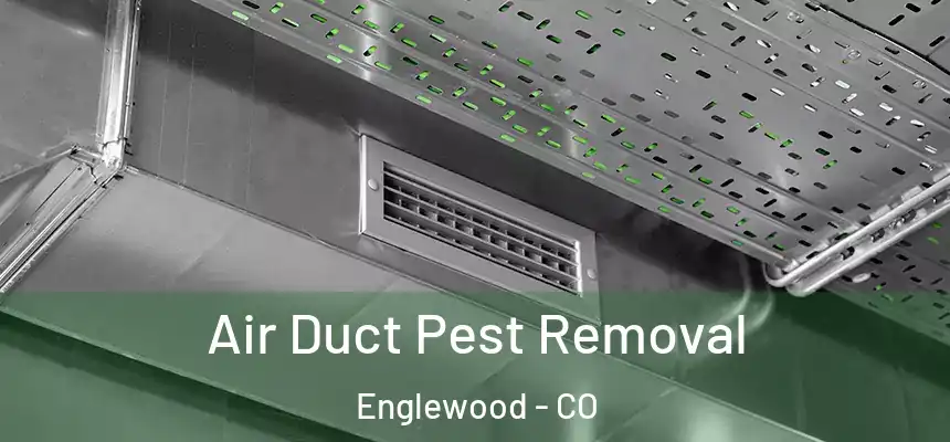 Air Duct Pest Removal Englewood - CO