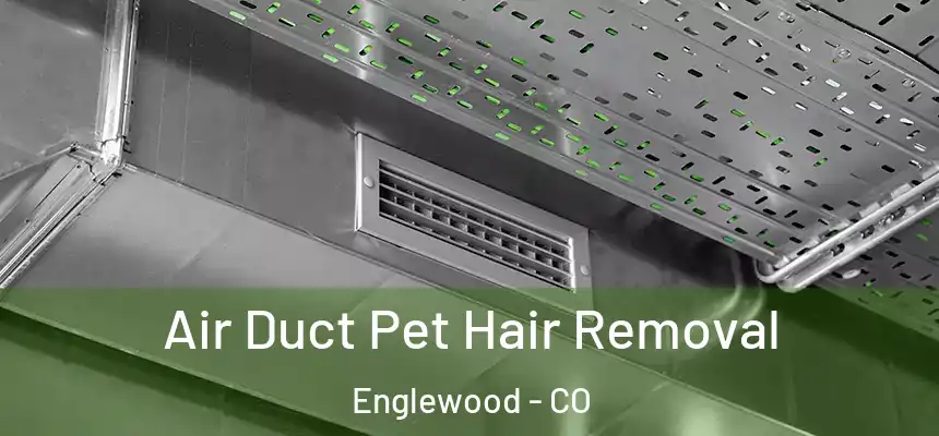 Air Duct Pet Hair Removal Englewood - CO