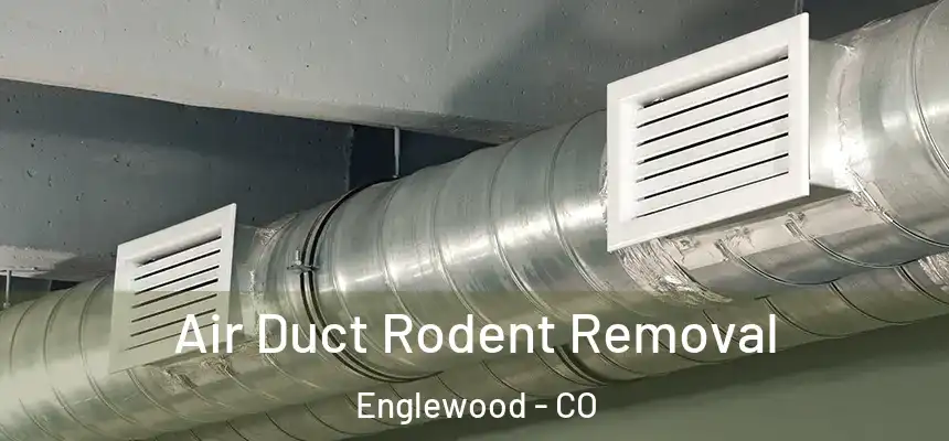 Air Duct Rodent Removal Englewood - CO