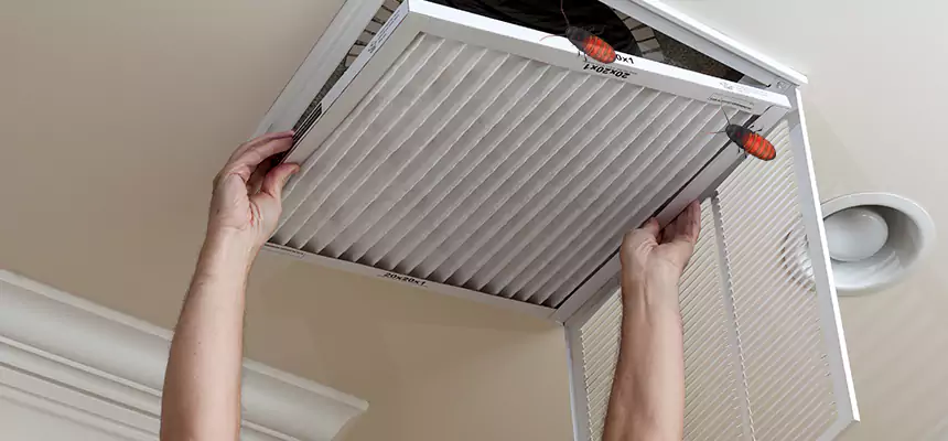Our Insect Removal from Air Ducts Services in Englewood, CO