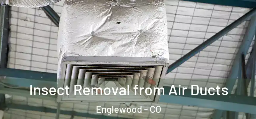 Insect Removal from Air Ducts Englewood - CO