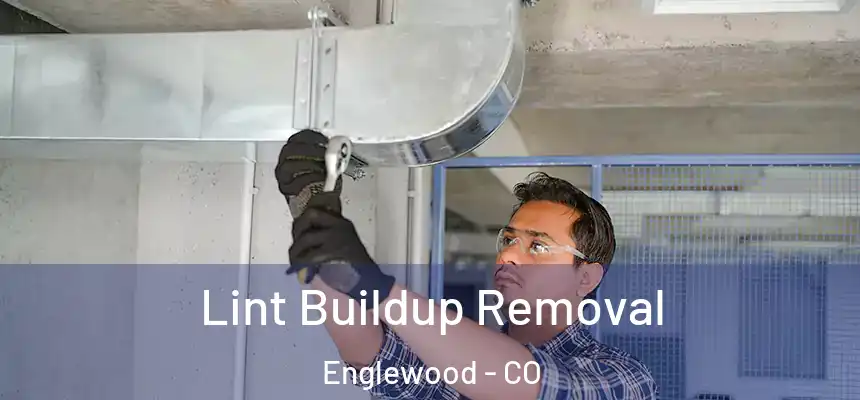 Lint Buildup Removal Englewood - CO