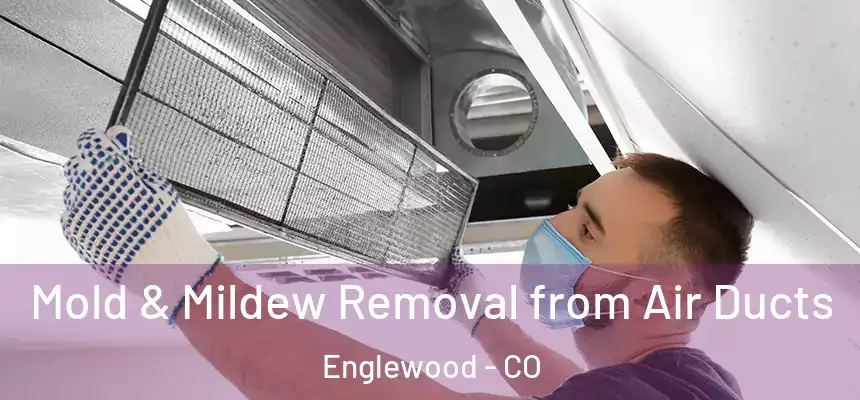 Mold & Mildew Removal from Air Ducts Englewood - CO
