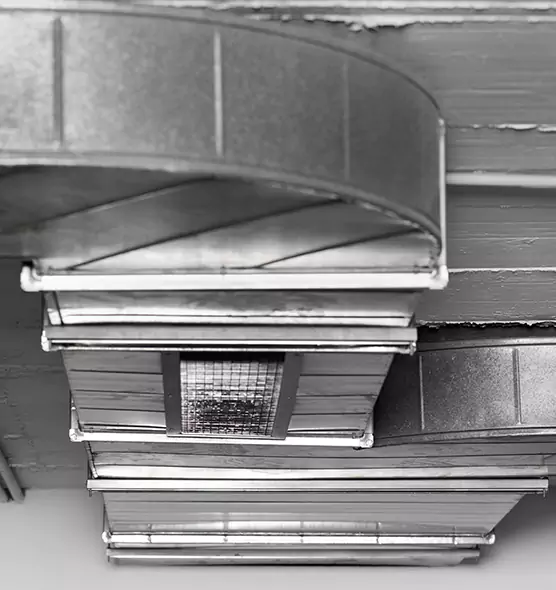 Professional Air Duct Pest Removal in Englewood, CO