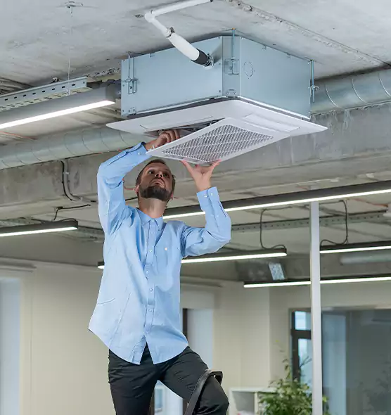 Advanced Rodent Droppings In Vents in Englewood, CO